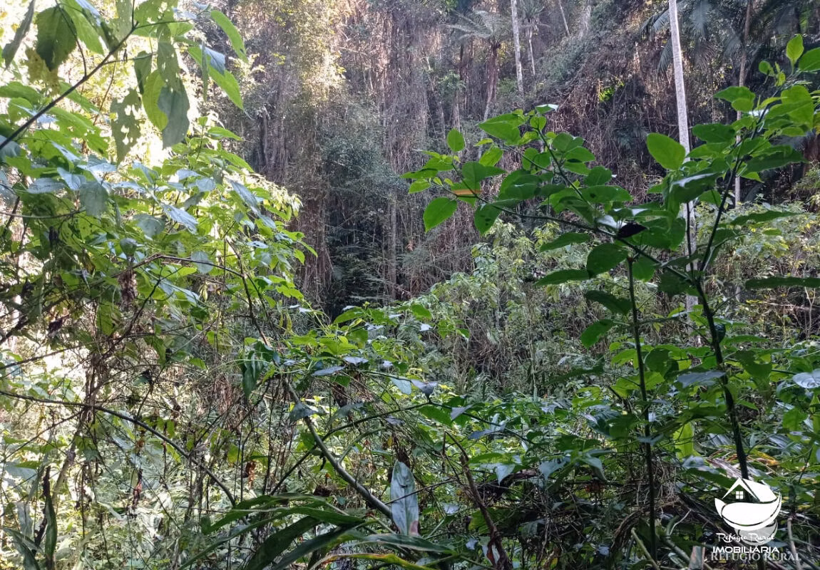 Farm of 418 acres in Monteiro Lobato, SP, Brazil