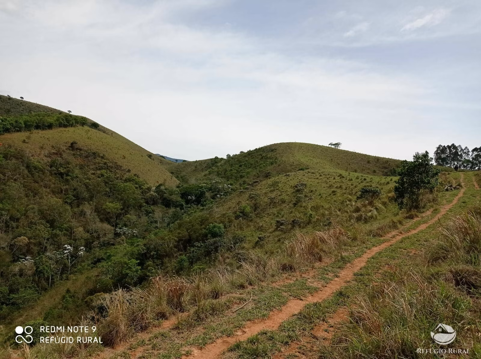 Fazenda de 169 ha em Monteiro Lobato, SP