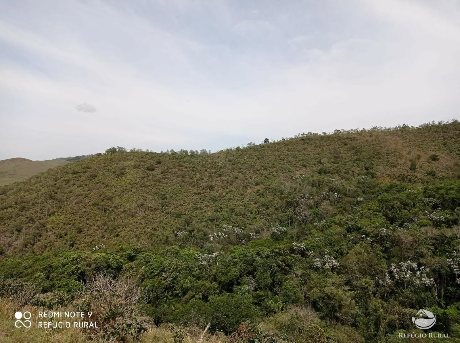 Farm of 418 acres in Monteiro Lobato, SP, Brazil