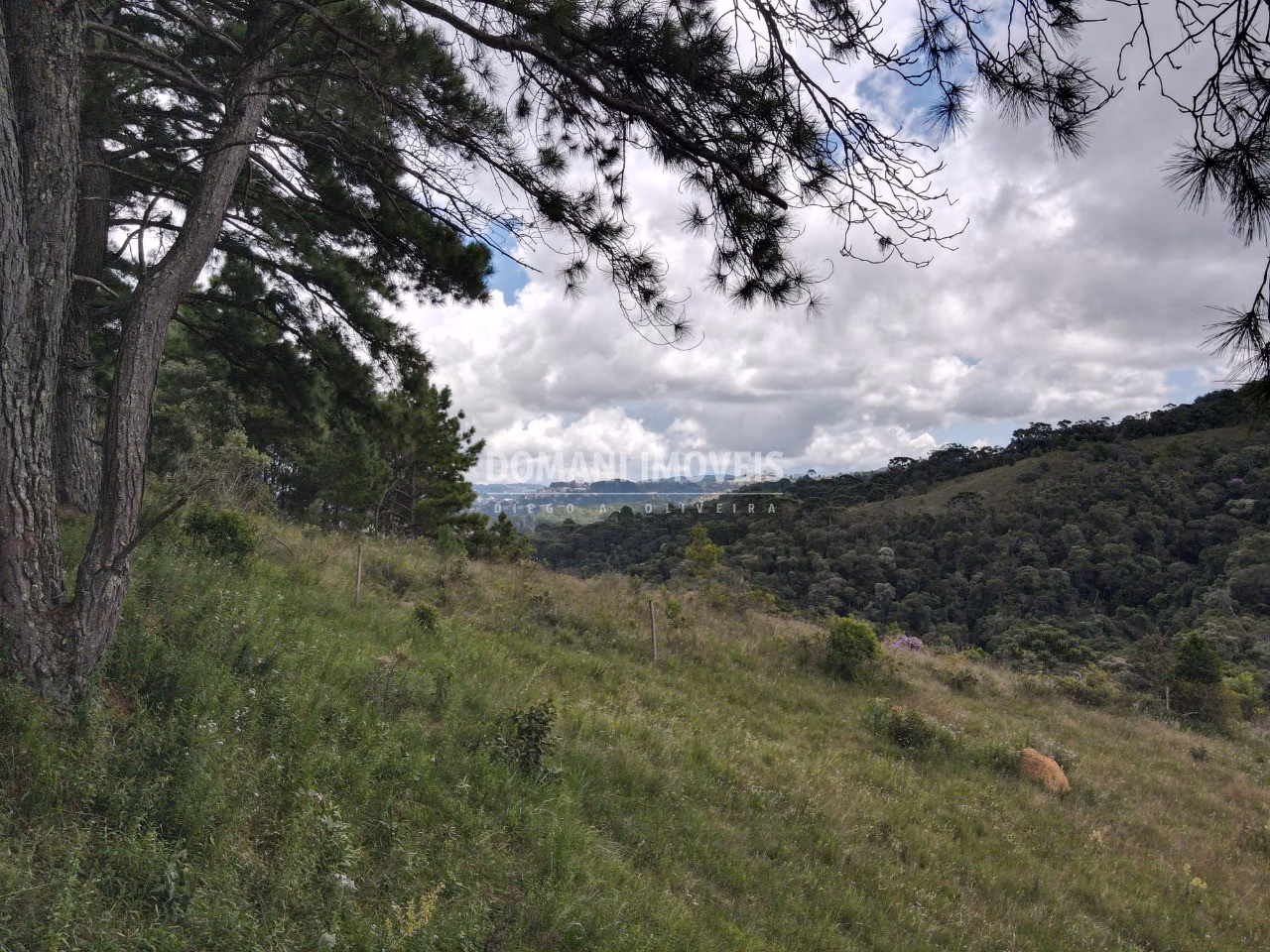 Plot of 1,340 m² in Campos do Jordão, SP, Brazil