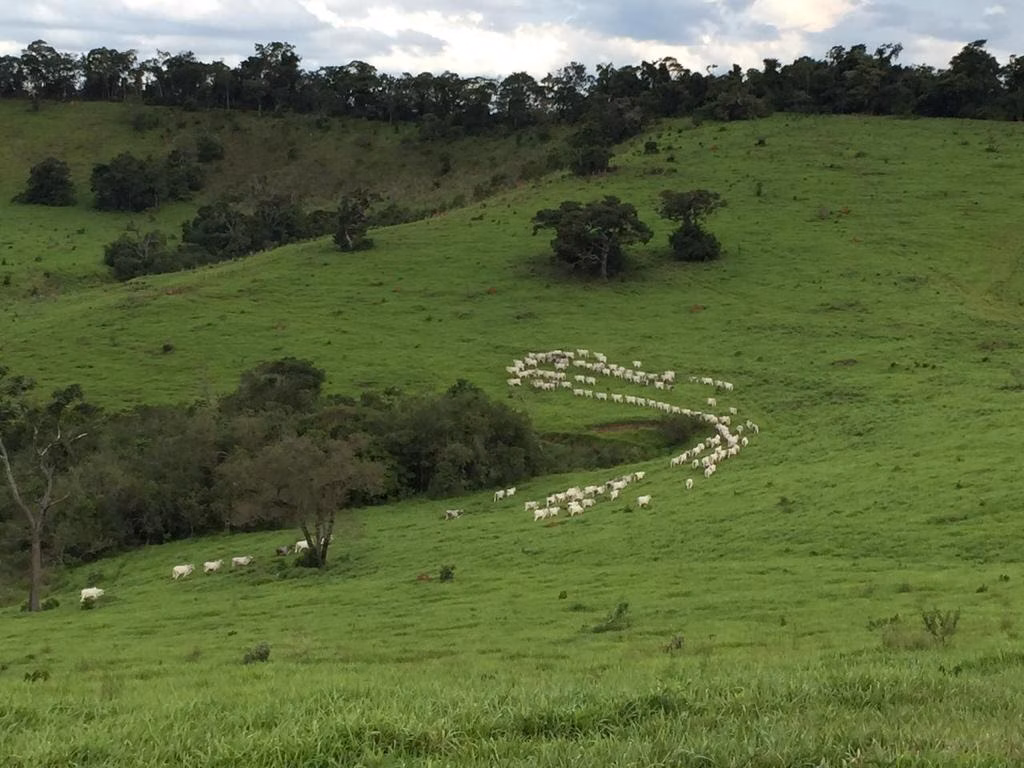 Fazenda de 652 ha em Caxambu, MG
