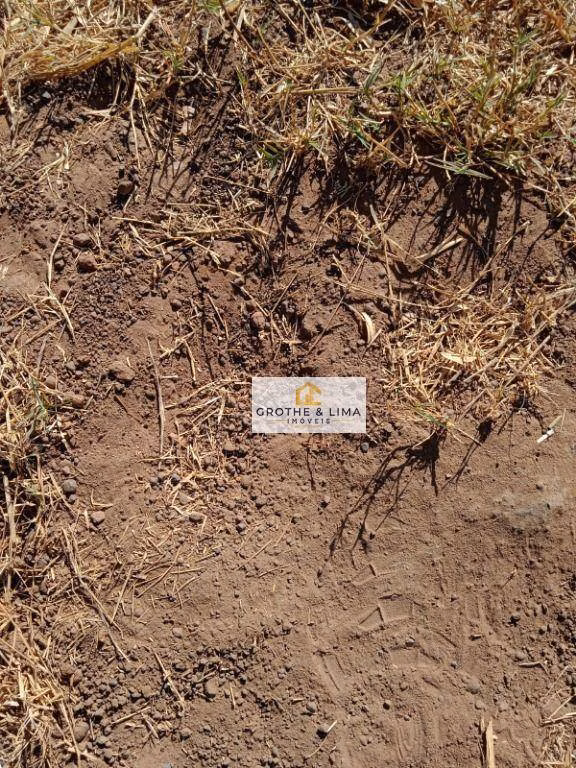 Farm of 8.970 acres in Formoso do Araguaia, TO, Brazil