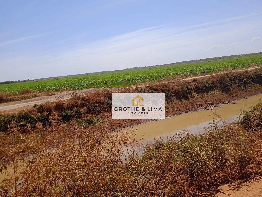 Farm of 8.970 acres in Formoso do Araguaia, TO, Brazil