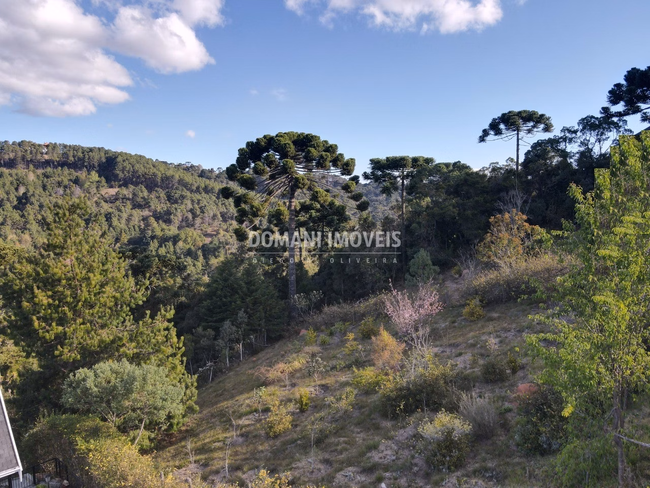 Plot of 1,210 m² in Campos do Jordão, SP, Brazil