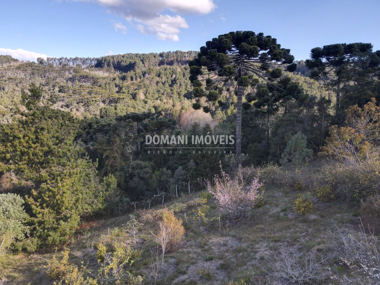 Plot of 1,210 m² in Campos do Jordão, SP, Brazil