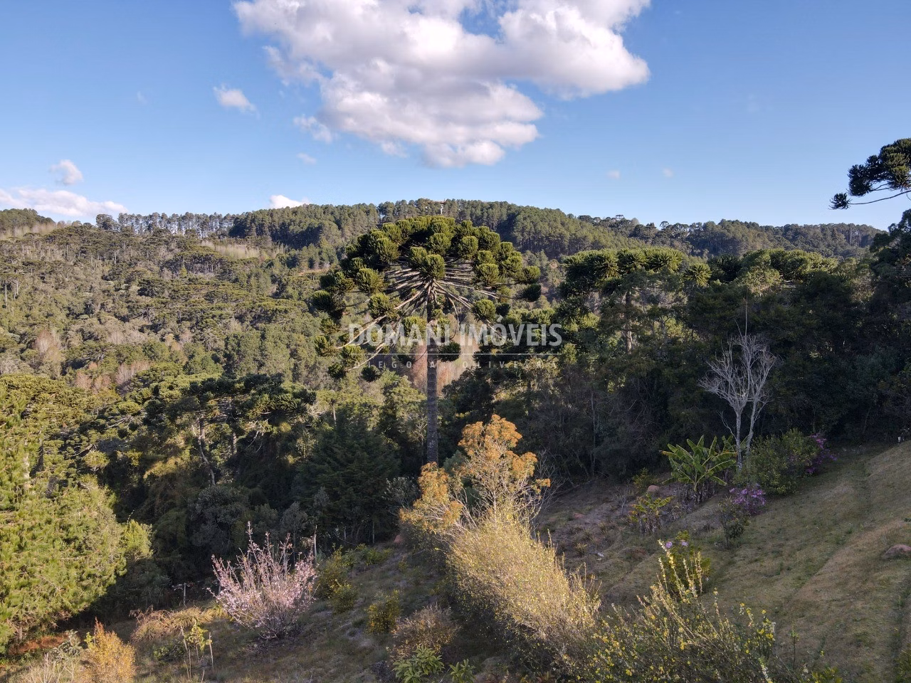 Plot of 1,210 m² in Campos do Jordão, SP, Brazil