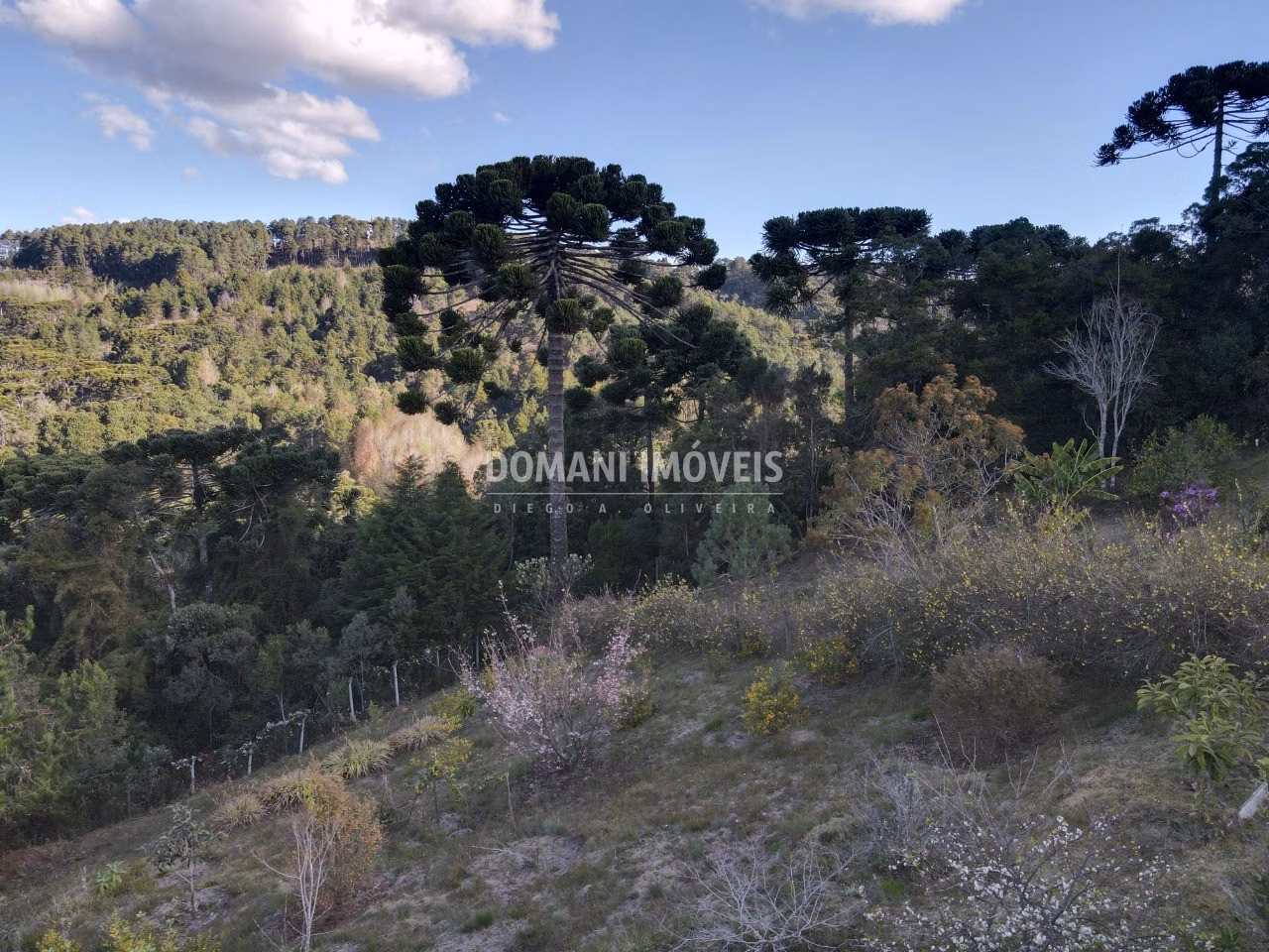 Plot of 1,210 m² in Campos do Jordão, SP, Brazil