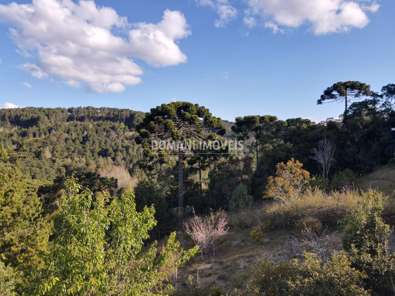 Plot of 1,210 m² in Campos do Jordão, SP, Brazil