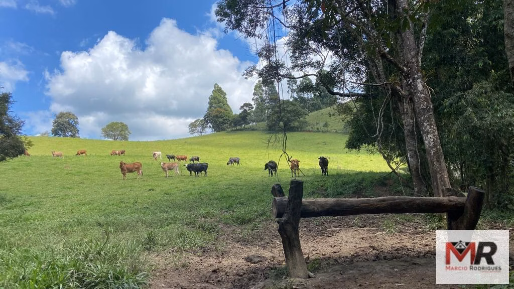 Terreno de 8 ha em Espírito Santo do Dourado, MG