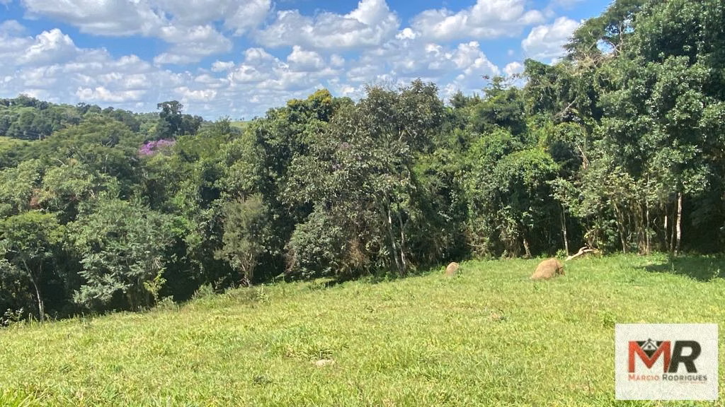 Terreno de 8 ha em Espírito Santo do Dourado, MG