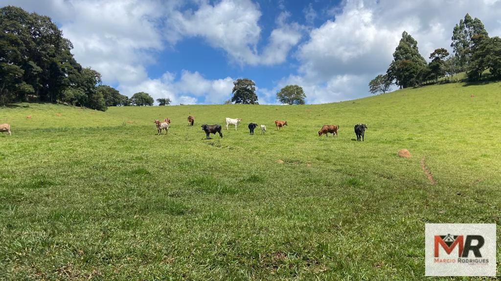 Terreno de 8 ha em Espírito Santo do Dourado, MG