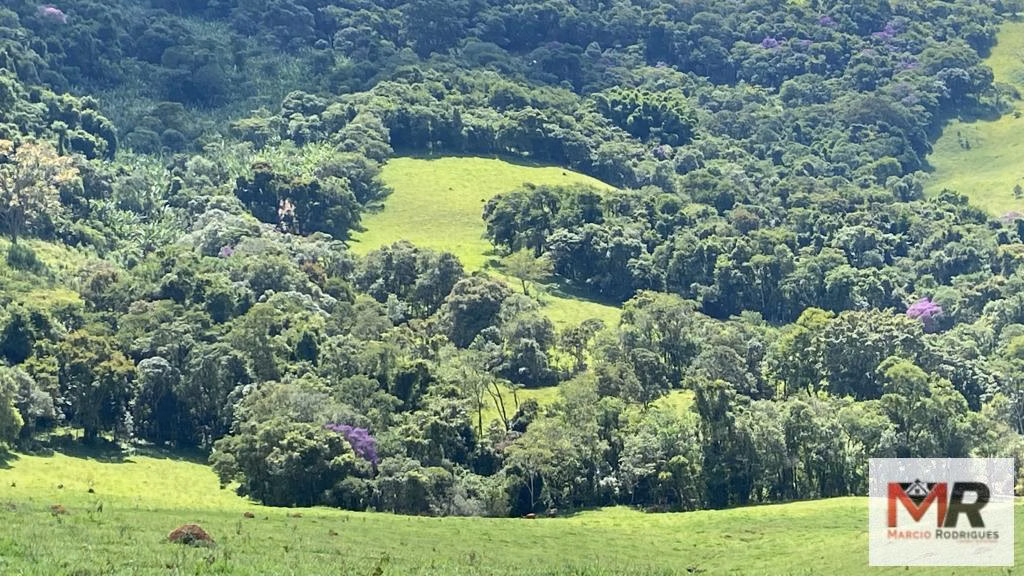 Terreno de 8 ha em Espírito Santo do Dourado, MG