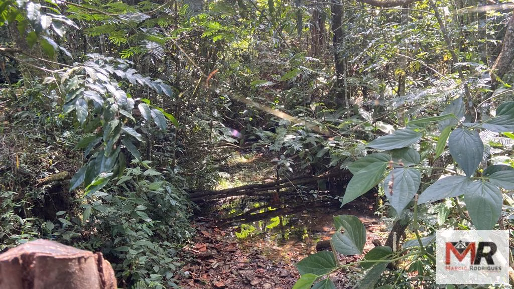 Terreno de 8 ha em Espírito Santo do Dourado, MG