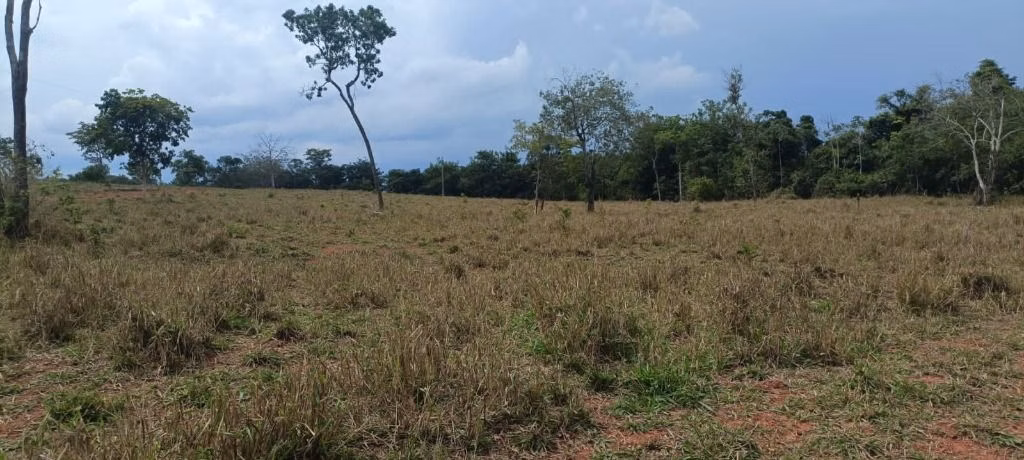 Fazenda de 912 ha em Guiratinga, MT
