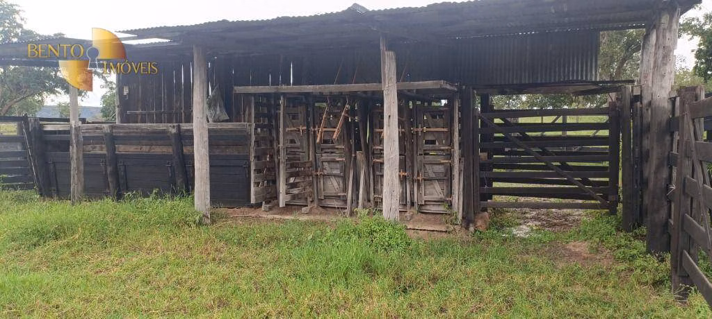Fazenda de 912 ha em Guiratinga, MT