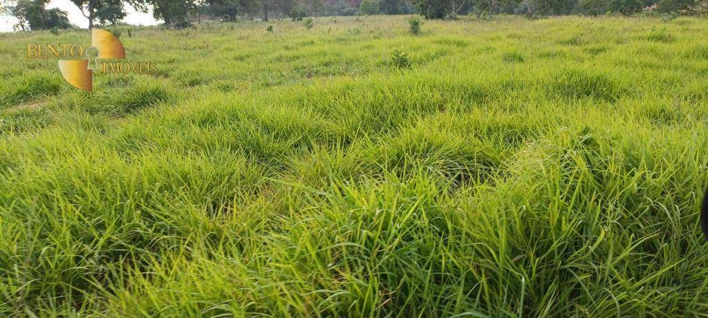 Fazenda de 912 ha em Guiratinga, MT