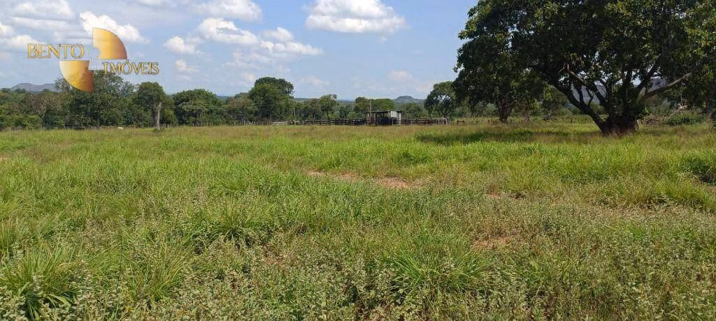 Fazenda de 912 ha em Guiratinga, MT