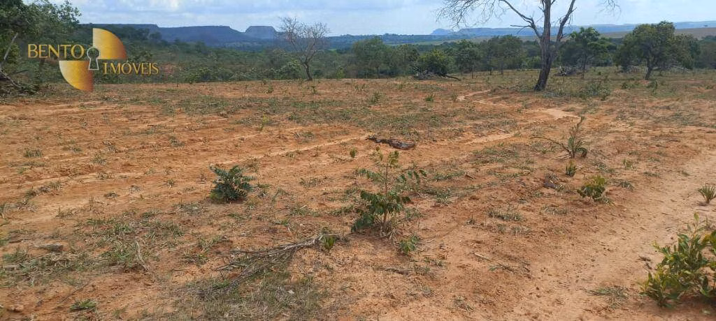 Fazenda de 912 ha em Guiratinga, MT
