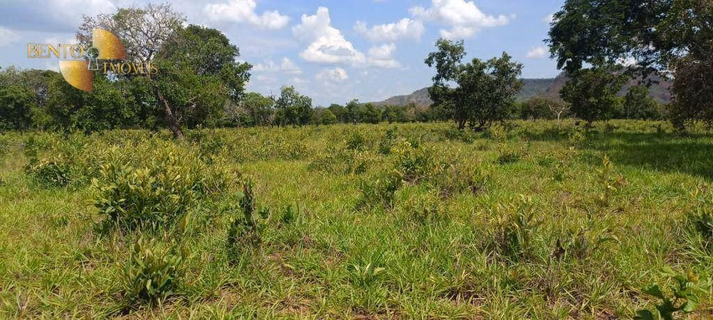 Fazenda de 912 ha em Guiratinga, MT