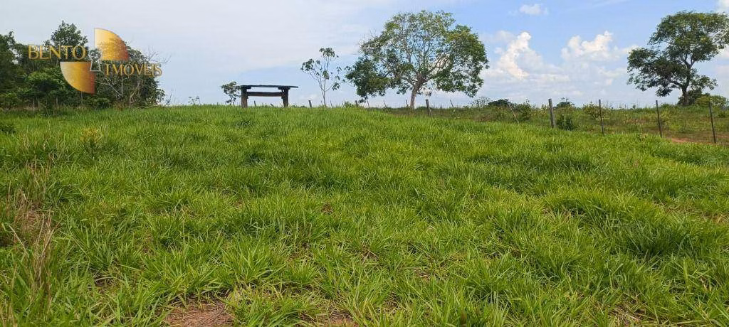 Fazenda de 912 ha em Guiratinga, MT