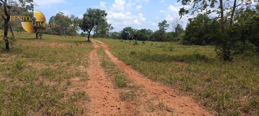 Fazenda de 912 ha em Guiratinga, MT