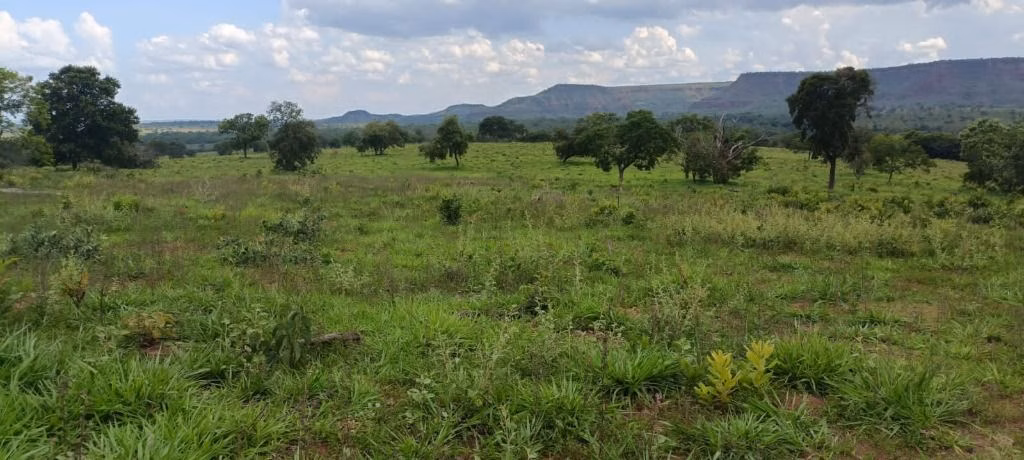 Fazenda de 912 ha em Guiratinga, MT