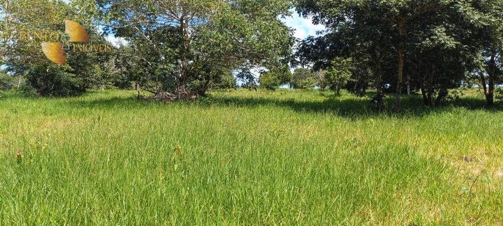 Fazenda de 912 ha em Guiratinga, MT