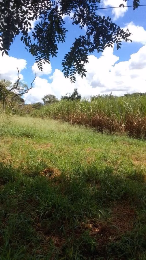 Small farm for sale of 78 acres in Ribeirão Bonito, SP, Brazil