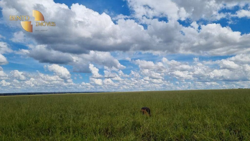 Fazenda de 5.150 ha em Feliz Natal, MT