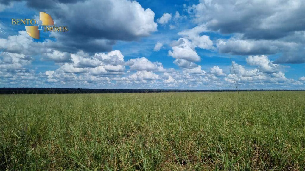 Fazenda de 5.150 ha em Feliz Natal, MT