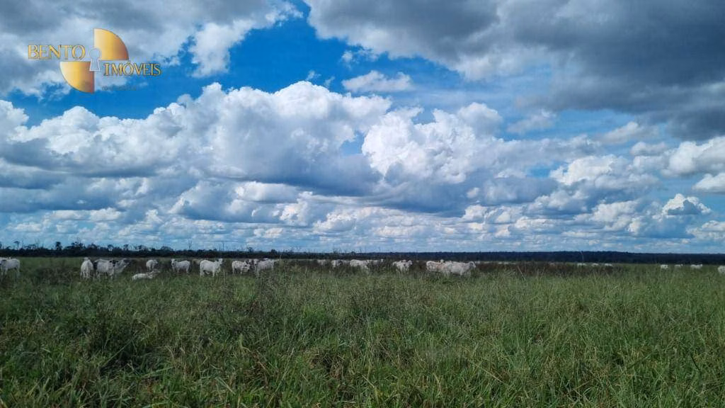 Fazenda de 5.150 ha em Feliz Natal, MT