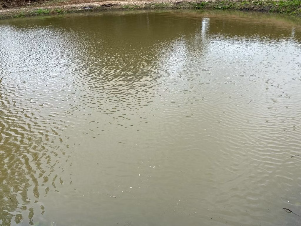 Chácara de 10 ha em São Miguel Arcanjo, SP