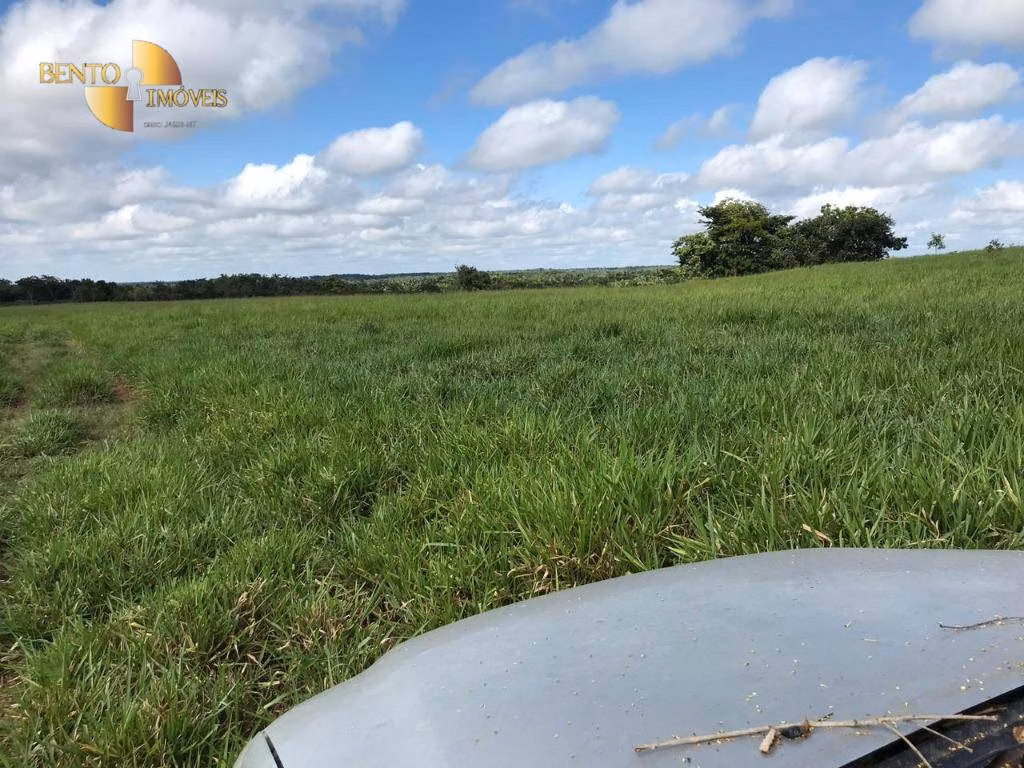 Fazenda de 1.455 ha em Acorizal, MT