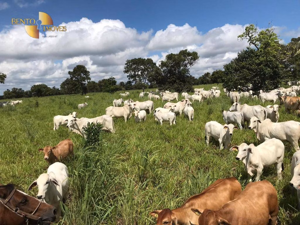 Fazenda de 1.455 ha em Acorizal, MT