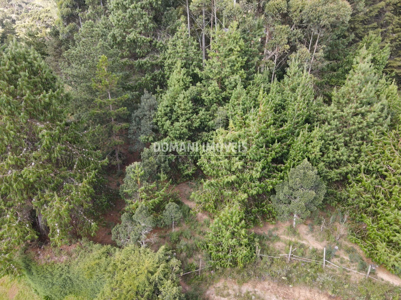 Plot of 1,700 m² in Campos do Jordão, SP, Brazil