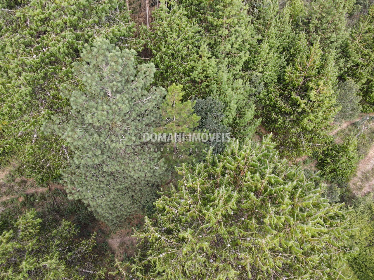 Terreno de 1.700 m² em Campos do Jordão, SP
