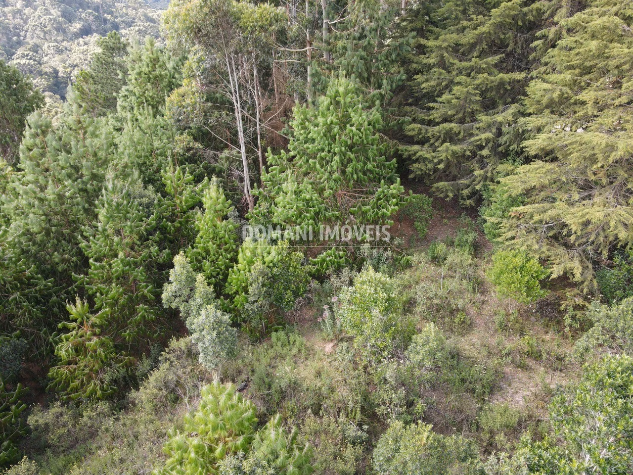 Plot of 1,700 m² in Campos do Jordão, SP, Brazil