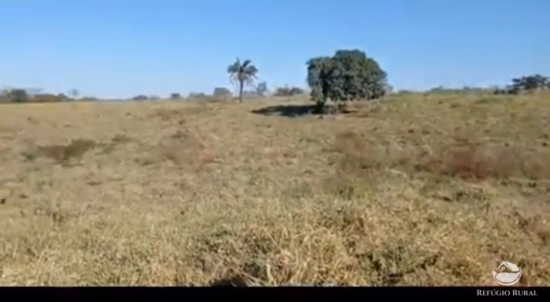 Terreno de 135 ha em Uberlândia, MG