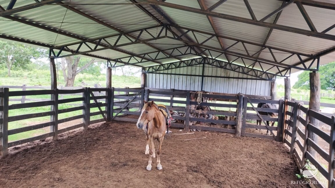 Fazenda de 788 ha em Figueirópolis, TO