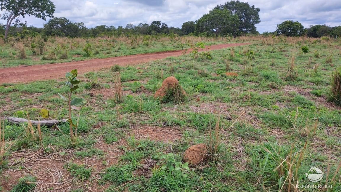 Fazenda de 788 ha em Figueirópolis, TO