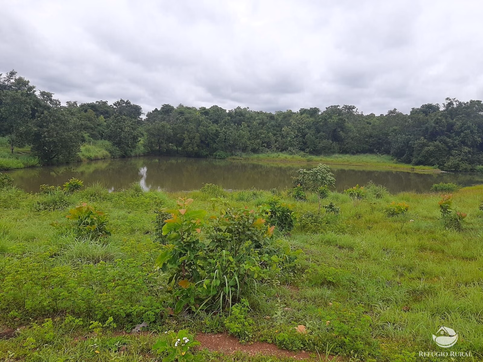 Fazenda de 788 ha em Figueirópolis, TO