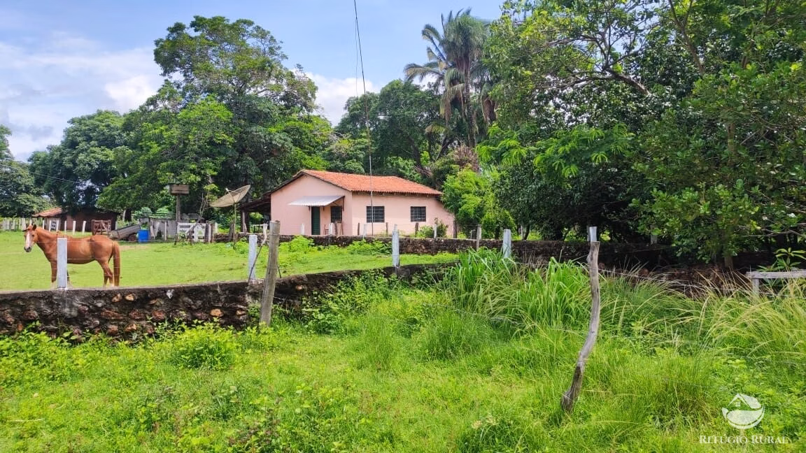Fazenda de 788 ha em Figueirópolis, TO