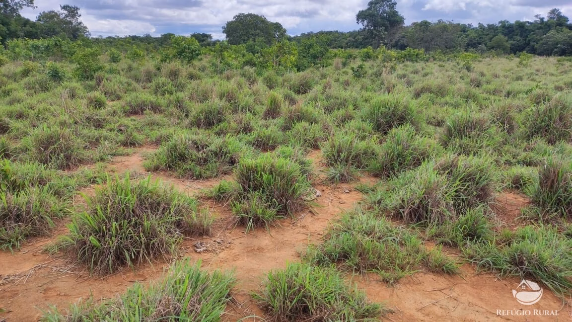 Fazenda de 788 ha em Figueirópolis, TO