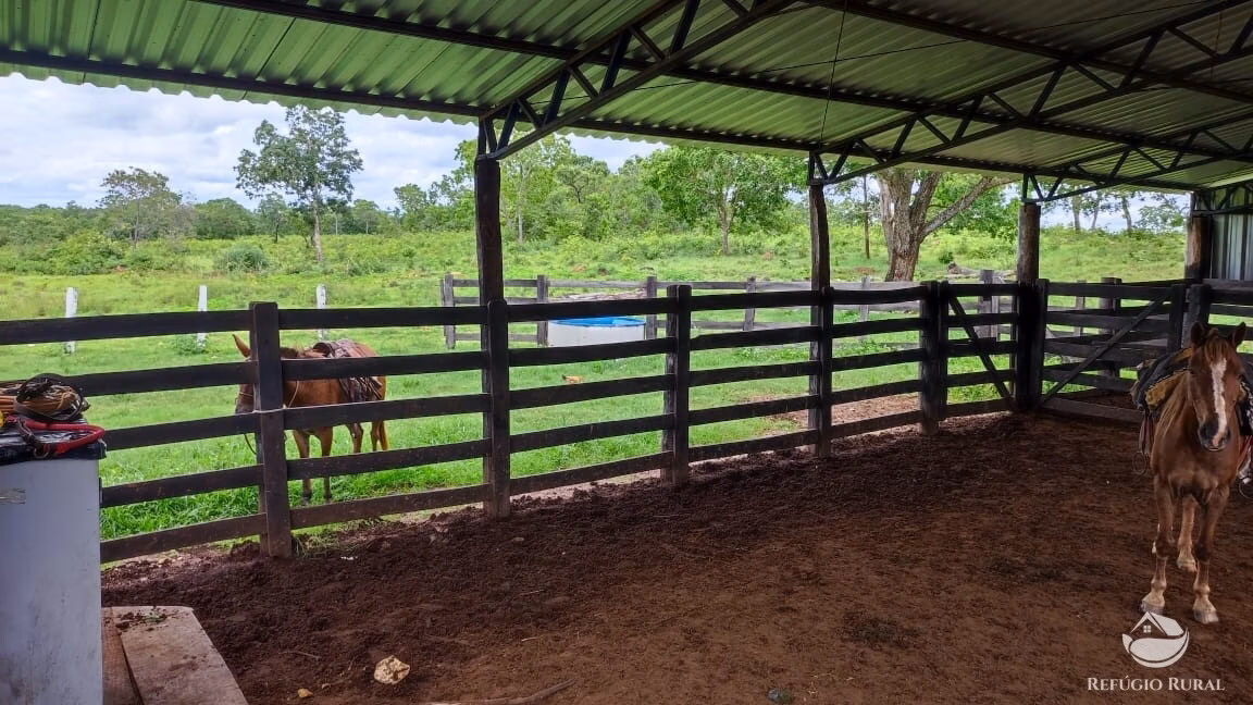 Fazenda de 788 ha em Figueirópolis, TO