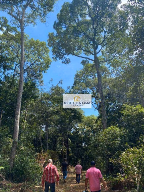 Fazenda de 1.021 ha em Lagoa da Confusão, TO