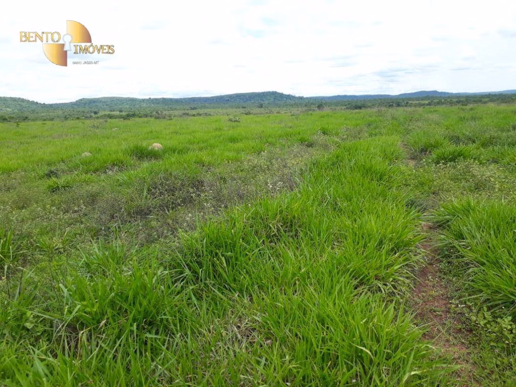 Fazenda de 796 ha em Gaúcha do Norte, MT