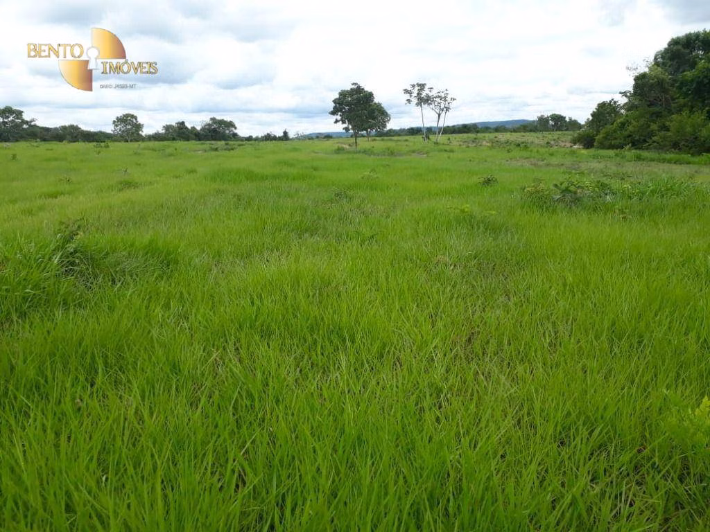 Fazenda de 796 ha em Gaúcha do Norte, MT