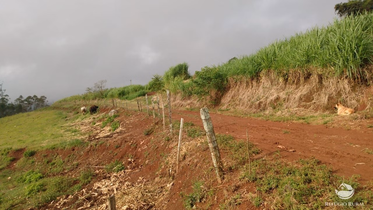 Sítio de 9 ha em Santa Cruz do Sul, RS