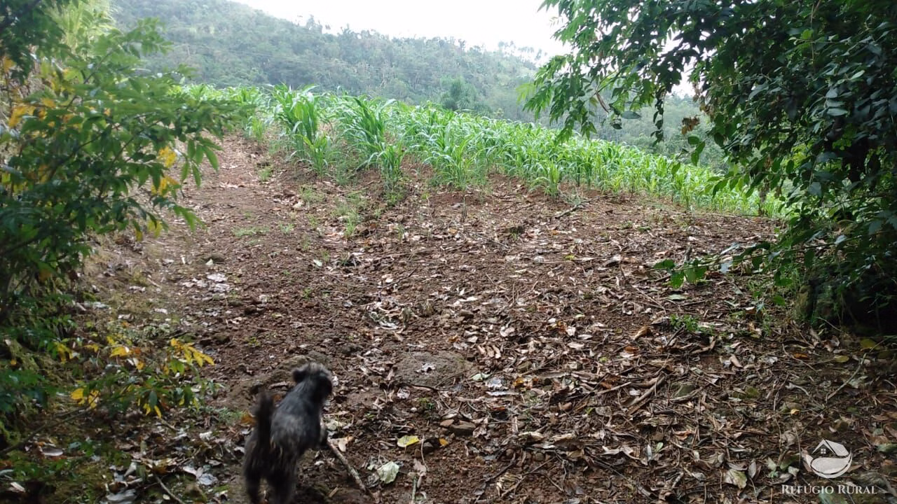 Small farm of 22 acres in Santa Cruz do Sul, RS, Brazil