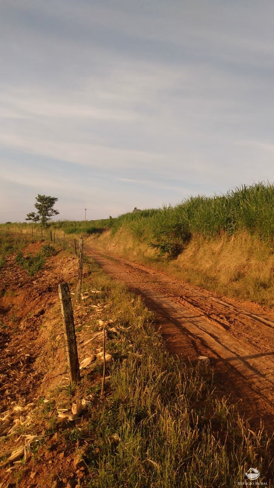Small farm of 22 acres in Santa Cruz do Sul, RS, Brazil